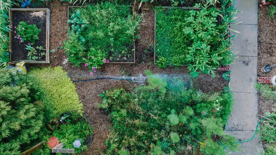 Greens & Outdoors at MY HOME KONADASAPURA, Bangalore