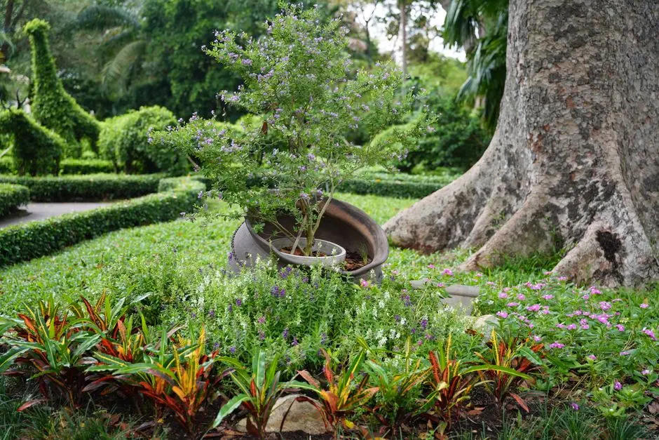 Greens & Outdoors at MY HOME BUDVEL, Hyderabad